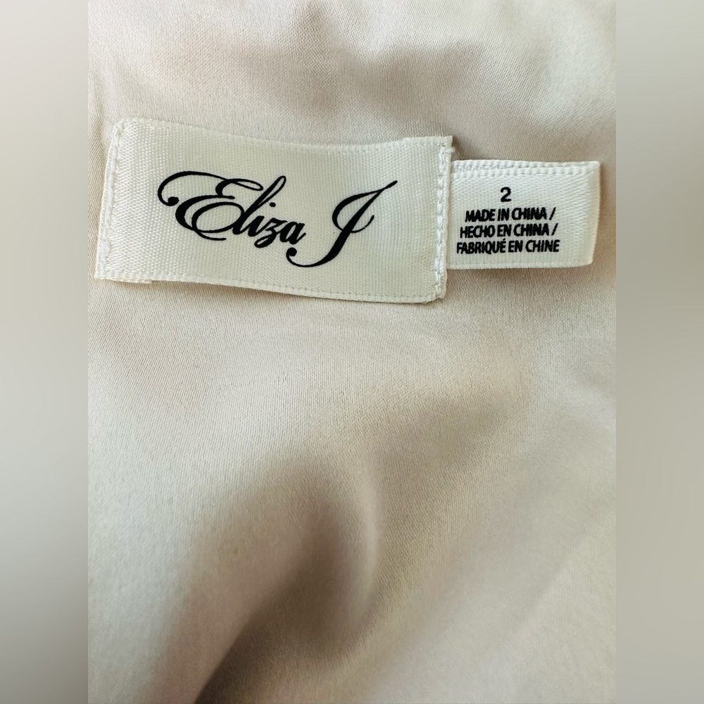 Eliza J floral Print Embroidered Mesh Gown Size 2 - Picture 10 of 11